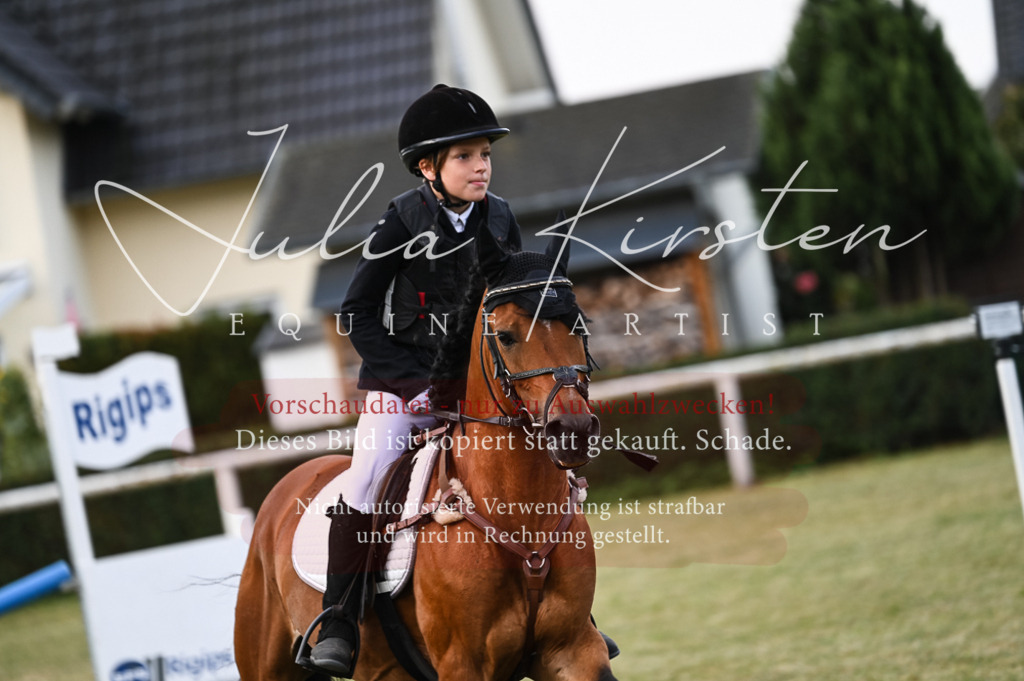 DSC_5563 | Pferde- und Turnierfotografie in Westsachsen. Pferdeportraits, Auftragszeichnungen und intuitive Kunst.