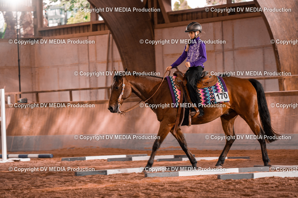 NE300086 | dv-media-shop - Realisiert mit Pictrs.com