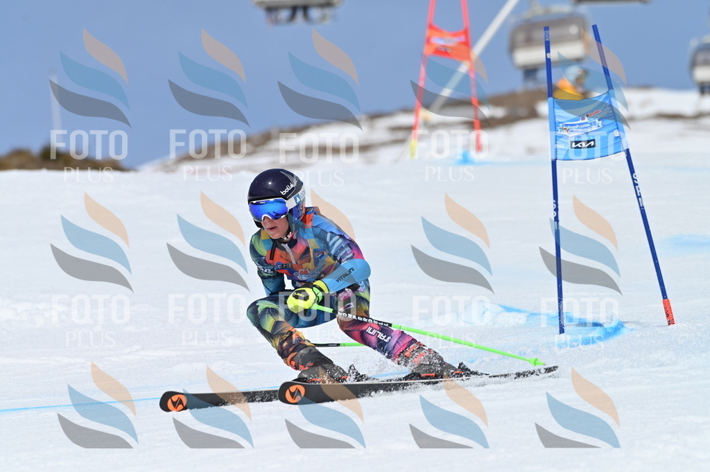 BGV_0991 | holidayphoto