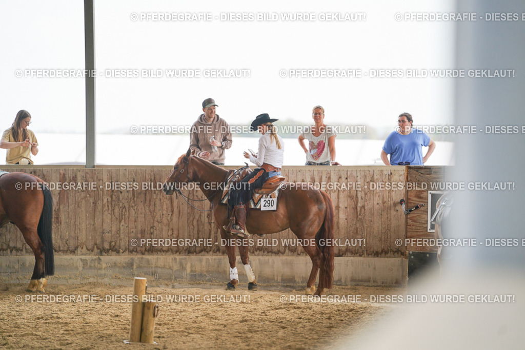 DSC06433 | Pferdegrafie