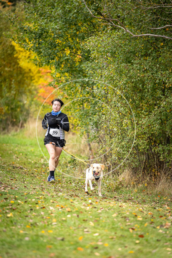 Pfotenfotografie_DV3A2257 | Hundefotografie, Tierfotograf, Pfotenfotografie, Fotoshooting Hund, Hunde Portrait, Hundesport, Hundeportraits, Heideshooting, Hunde, Sportfotograf, Hundefotograf, Turnierhundsport, THS,  - Realisiert mit Pictrs.com