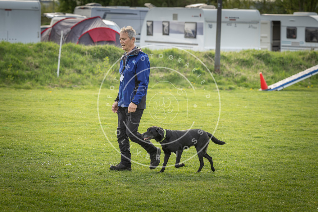 Pfotenfotografie_DV3A4873 | Hundefotografie, Tierfotograf, Pfotenfotografie, Fotoshooting Hund, Hunde Portrait, Hundesport, Hundeportraits, Heideshooting, Hunde, Sportfotograf, Hundefotograf, Turnierhundsport, THS,  - Realisiert mit Pictrs.com