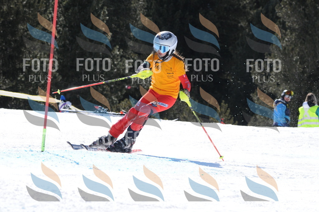 C8914 | holidayphoto