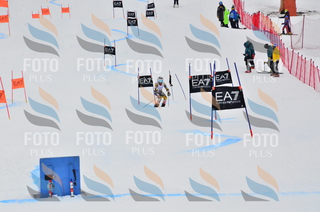 _ELE3775 | holidayphoto