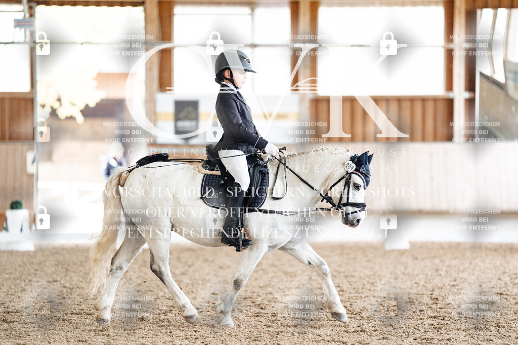 CK900967 | Turnierfotografie Pferdefotografie Trier Rheinland-Pfalz Pferdesport Reitsport Tierfotografie Sportfotografie Pferdevideo Pferdevideografie Equestrianvideography equestrianphotography  - Realisiert mit Pictrs.com