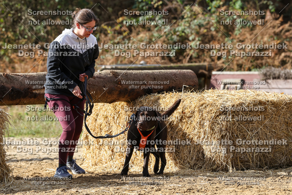 Dog Paparazzi - Strongdog 10-25-5051 | Dog Paparazzi Jeanette Grottendiek Fotografie & Videografie