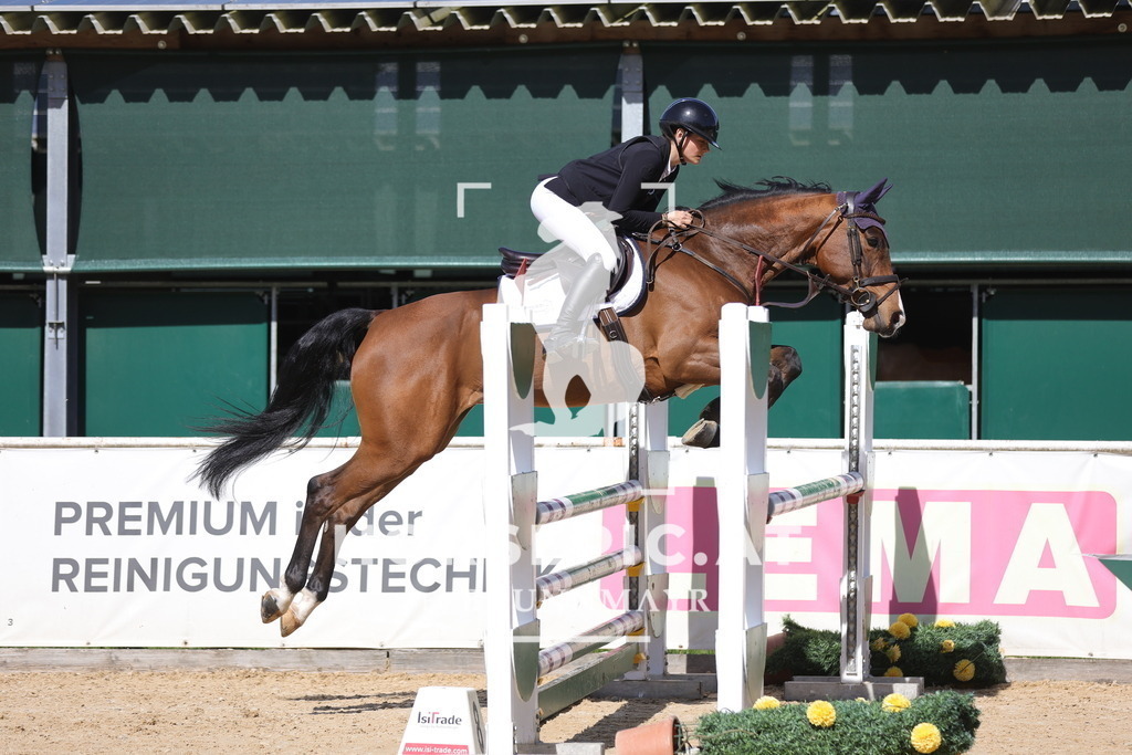 0P6A8849 | Willkommen bei Brunnmayr - Design & Fotografie – Ihrem Spezialisten für Reitturniere und Pferdeveranstaltungen in Oberösterreich, Salzburg und Bayern! Seit über 17 Jahren sind wir leidenschaftlich dabei.