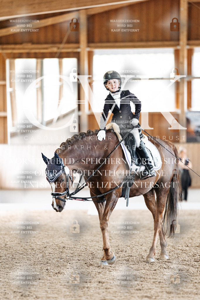 CK901728 | Turnierfotografie Pferdefotografie Trier Rheinland-Pfalz Pferdesport Reitsport Tierfotografie Sportfotografie Pferdevideo Pferdevideografie Equestrianvideography equestrianphotography  - Realisiert mit Pictrs.com