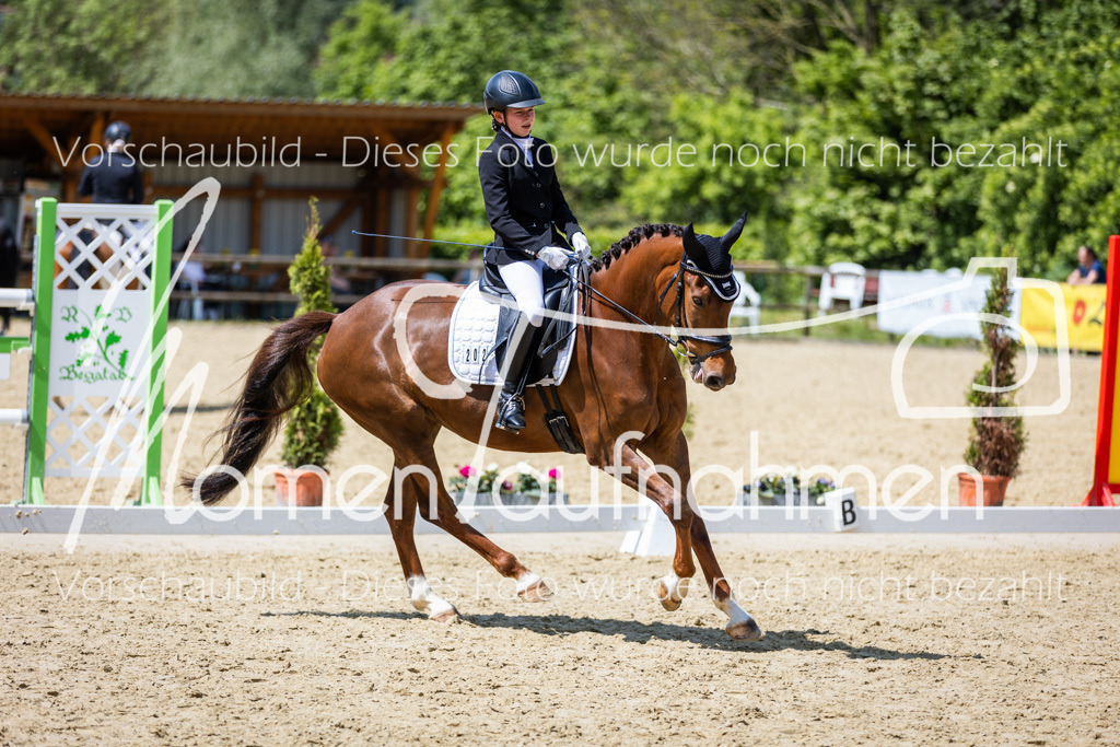 Donop24-EDre-019 | MomenTaufnahmen Pferdesportfotos