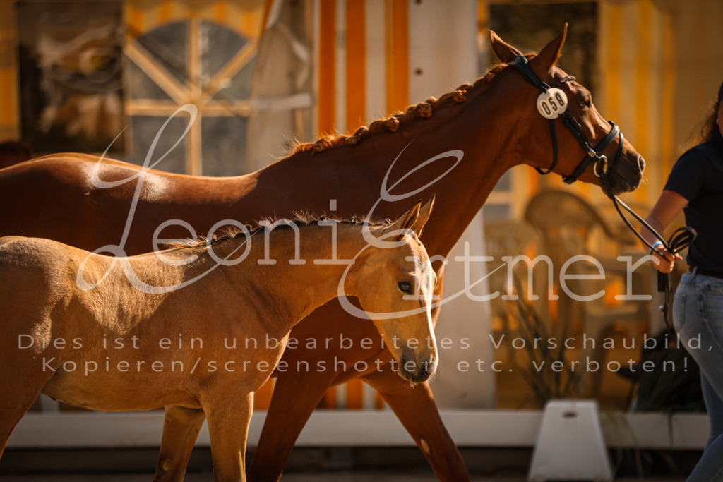 11.DoRP00137 | Leoni Ertmer Photography - Realisiert mit Pictrs.com