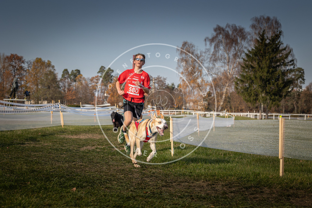 CaniXpix_0L8A9638 | Hundefotografie, Tierfotograf, Pfotenfotografie, Fotoshooting Hund, Hunde Portrait, Hundesport, Hundeportraits, Heideshooting, Hunde, Sportfotograf, Hundefotograf, Turnierhundsport, THS,  - Realisiert mit Pictrs.com