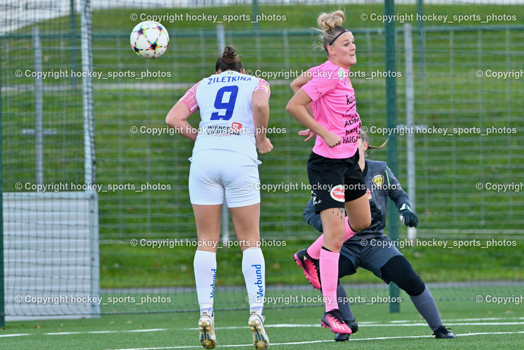 Liwodruck Carinthians Hornets vs. FK Austria Wien Frauen 19.11.2023 | #9 Alisa Ziletkina, #27 Jasmin Michelle Ortner, #1 Anja Meier
