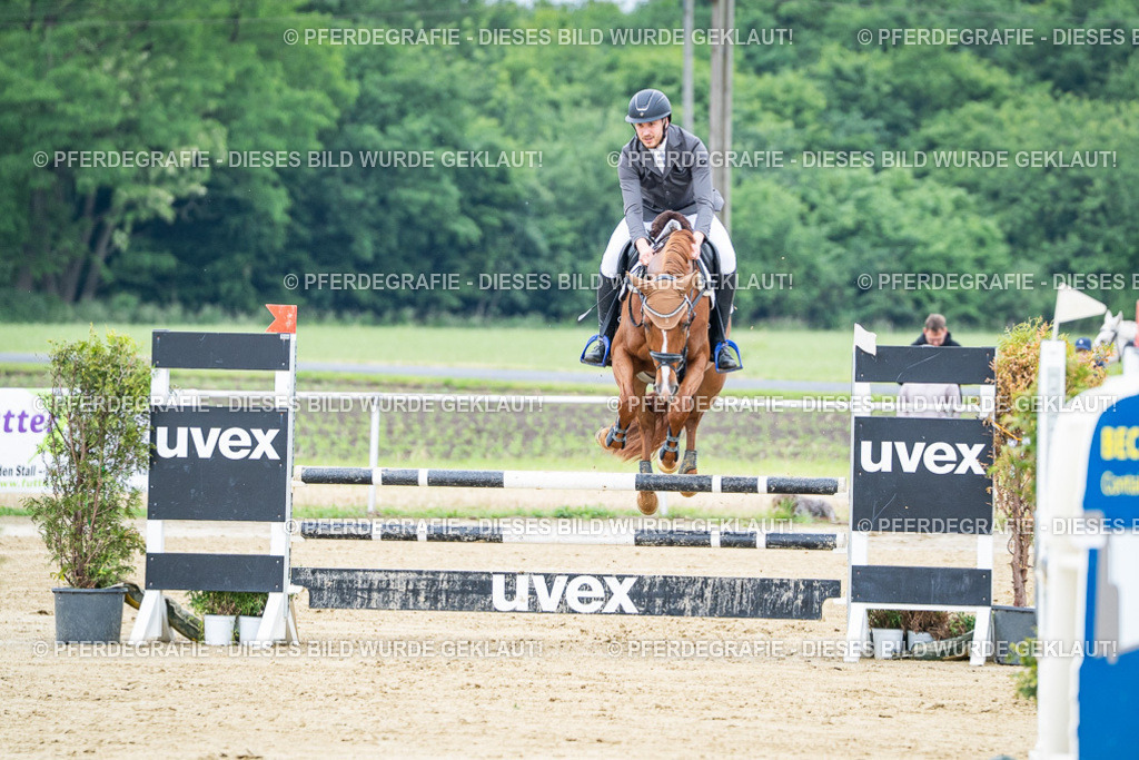 DSC03661 | Pferdegrafie