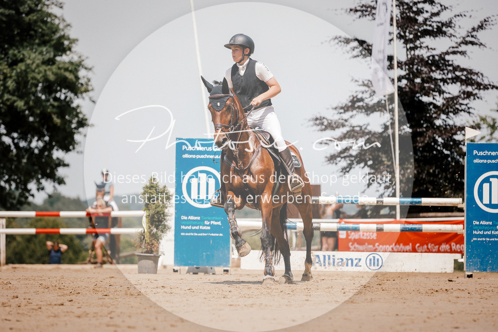 3I6A7986 | Stimmungsvolle Portraits und Reitsportfotografie im Ruhrgebiet und im Münsterland.

Pferdefotografie, Hundefotografie, Tierfotografie, Reportagen, Portraits von Tier und Mensch, Turnierfotografie in Bochum, Recklinghausen, Marl, Haltern am See, Dülmen.. - Realisiert mit Pictrs.com
