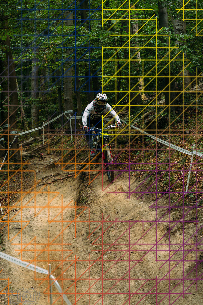 PAE-0719 | Einzigartige Fotokunst für dein Zuhause: Entdecke hochwertige Wandbilder, edle Prints und emotionale Motive von Wildlife, Natur und Landschaften - Realisiert mit Pictrs.com