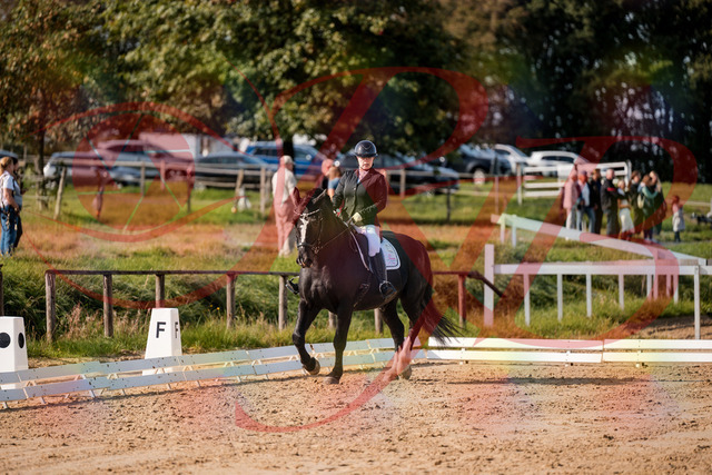 2026_10_03_Siefer-Hof_120743_Z63_36675923 | Professionelle Reitsport-, Turnier- und Eventfotografie von Robert Broda. Galerien mit ausgewählten und bearbeiteten Bildern direkt online ansehen und bestellen.