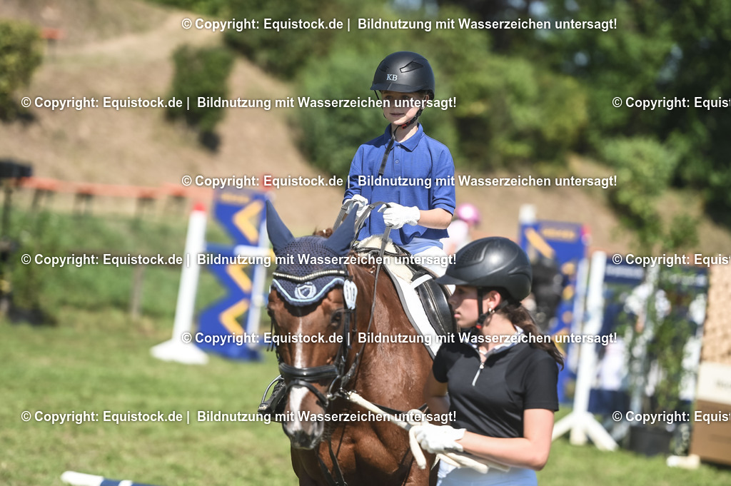 20230910_11-3_Führzügel-WB_0021 | Foto: Thomas Hartig
