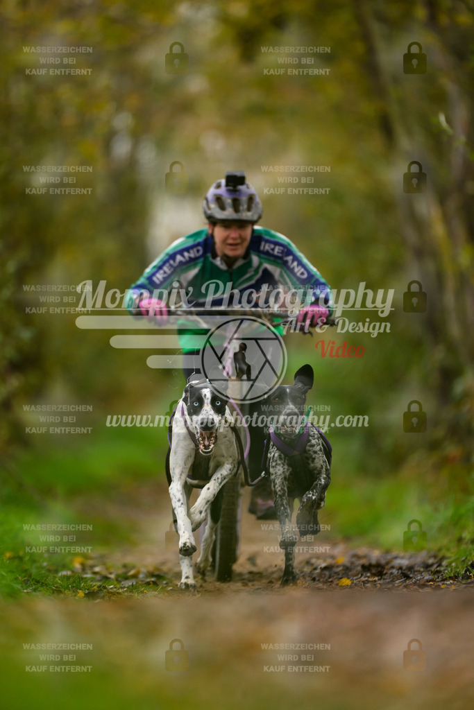 MompixPhotography_20TSB_E6_DS2-24 | PayLife