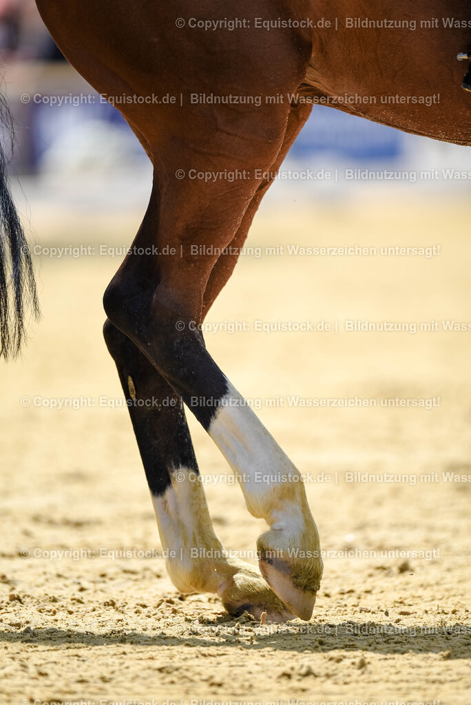 20250607_1_GP-Tour_Dressage_0178 | Foto: Thomas Hartig