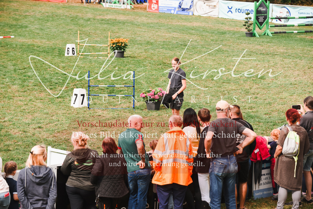DSC_4055 | Pferde- und Turnierfotografie in Westsachsen. Pferdeportraits, Auftragszeichnungen und intuitive Kunst.