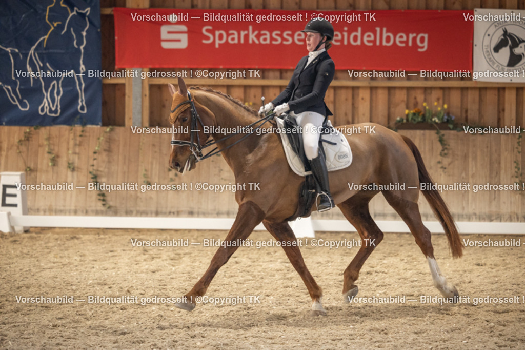 _D5A6590 | Emotionale Pferde- & People-Fotografie rund um Heidelberg, Leimen & Umgebung. Natürliche Fotos von Pferd, Mensch & Familie. Jetzt Termin sichern!