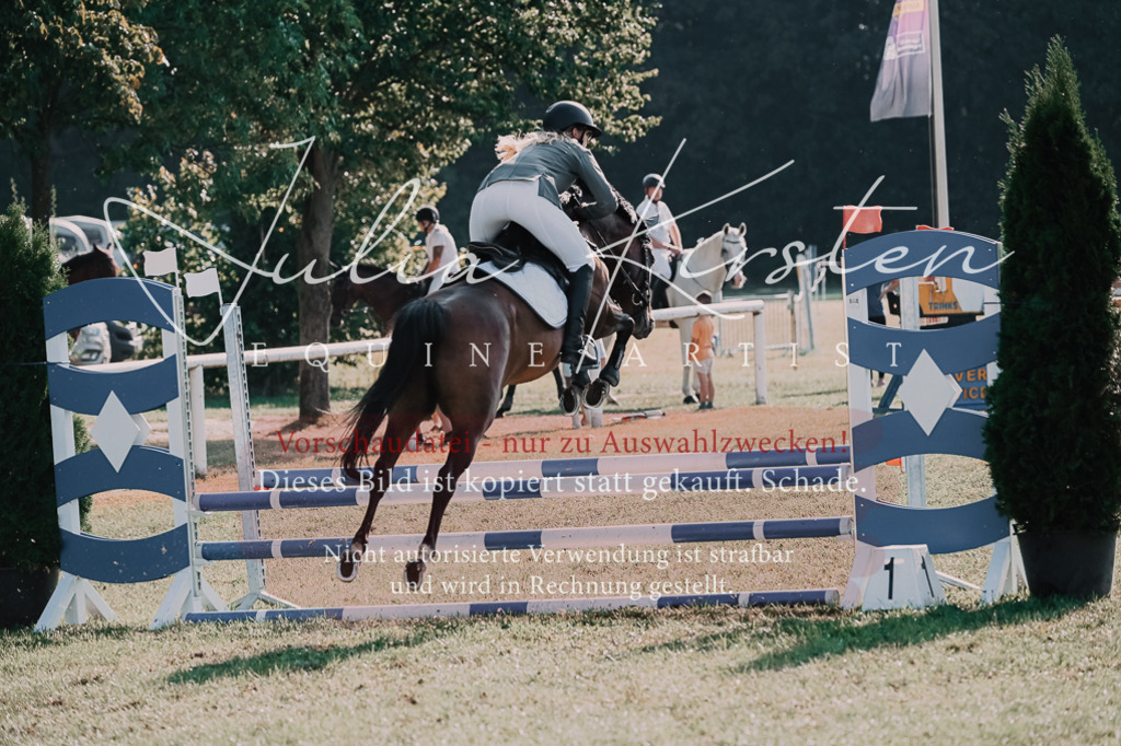 DSC_4626 | Pferde- und Turnierfotografie in Westsachsen. Pferdeportraits, Auftragszeichnungen und intuitive Kunst.