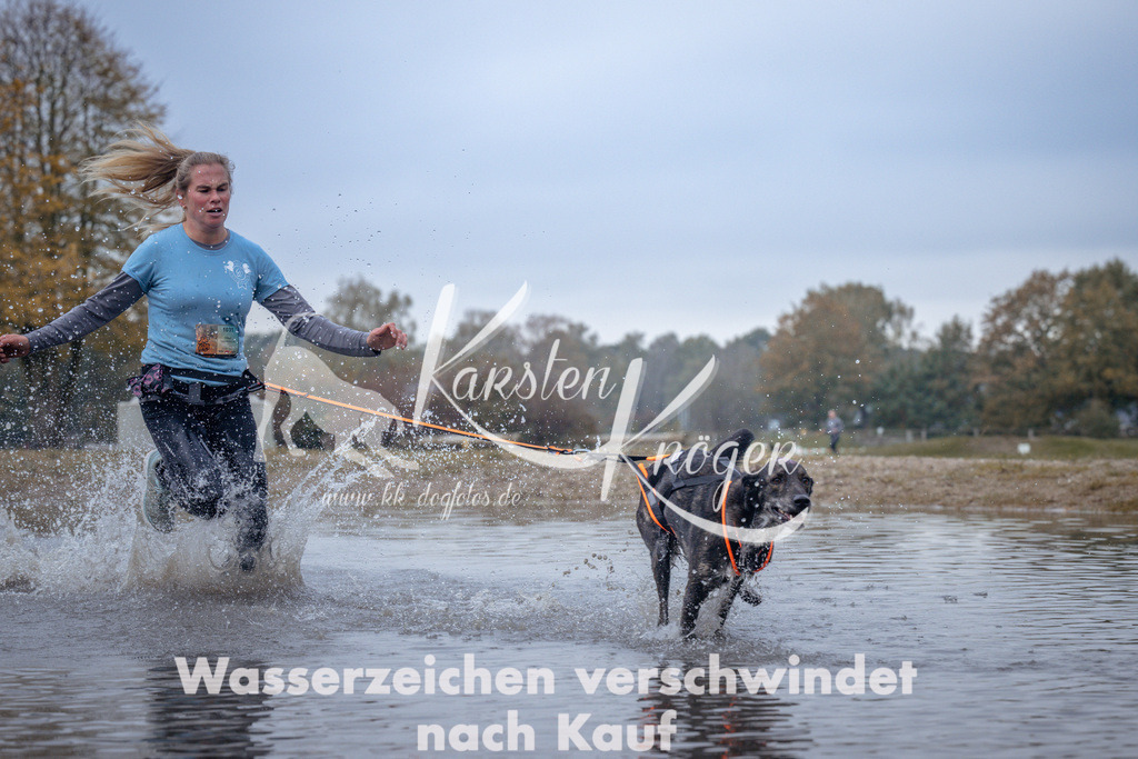 1155_ZZ97368 | kk-dogfotos