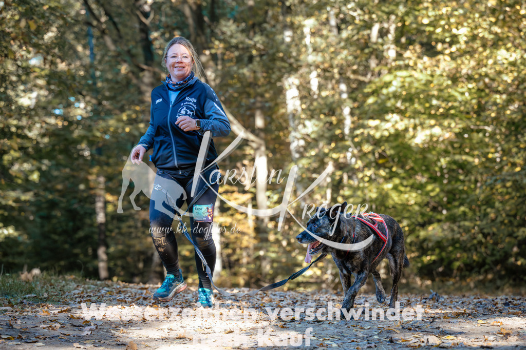 1045_ZZ90877 | kk-dogfotos