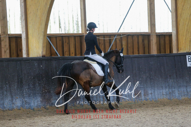 IMG_0416 | Turniersportfotografie; Pferdefotografie; Dressurfotografie