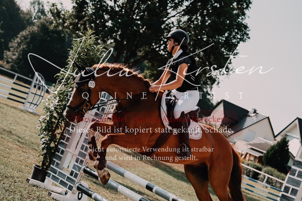 DSC_4652 | Pferde- und Turnierfotografie in Westsachsen. Pferdeportraits, Auftragszeichnungen und intuitive Kunst.