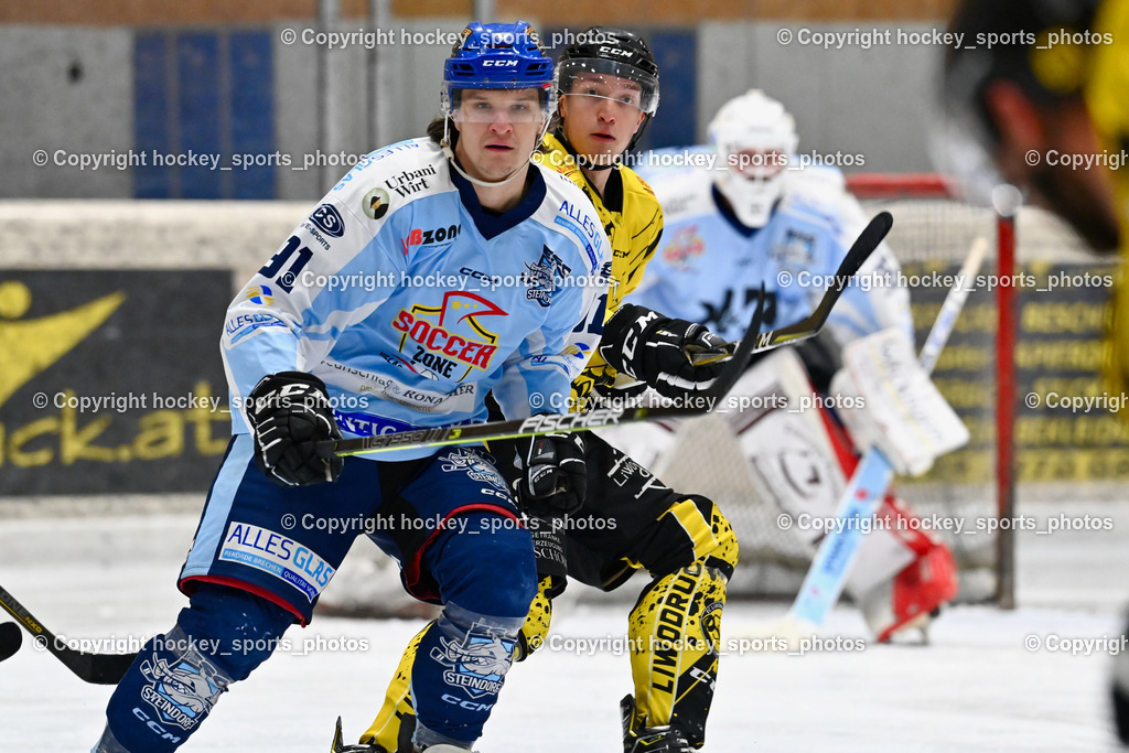 EC Spittal Hornets vs. ESC Steindorf 7.12.2022 | #91 Kravanja Kristian, #88 Zauchner Daniel