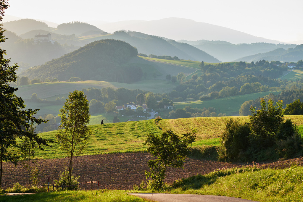 Blick in die Bucklige Welt bei Bad Schönau | Austria - August 21, 2020: Blick in die Bucklige Welt bei Bad Schönau. - Realisiert mit Pictrs.com