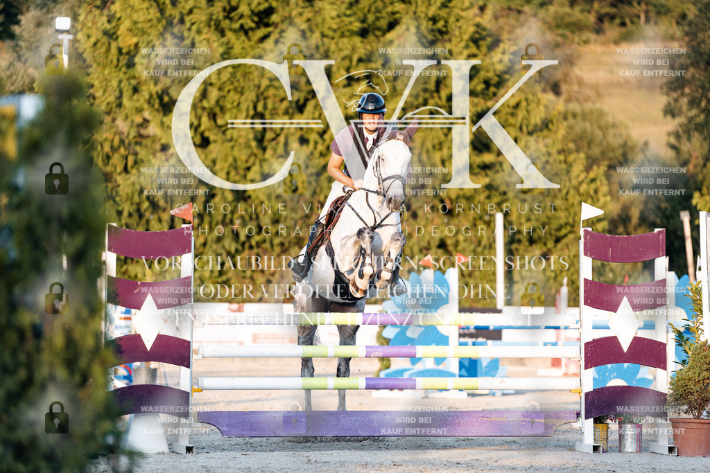 CK901135 | Turnierfotografie Pferdefotografie Trier Rheinland-Pfalz Pferdesport Reitsport Tierfotografie Sportfotografie Pferdevideo Pferdevideografie Equestrianvideography equestrianphotography  - Realisiert mit Pictrs.com