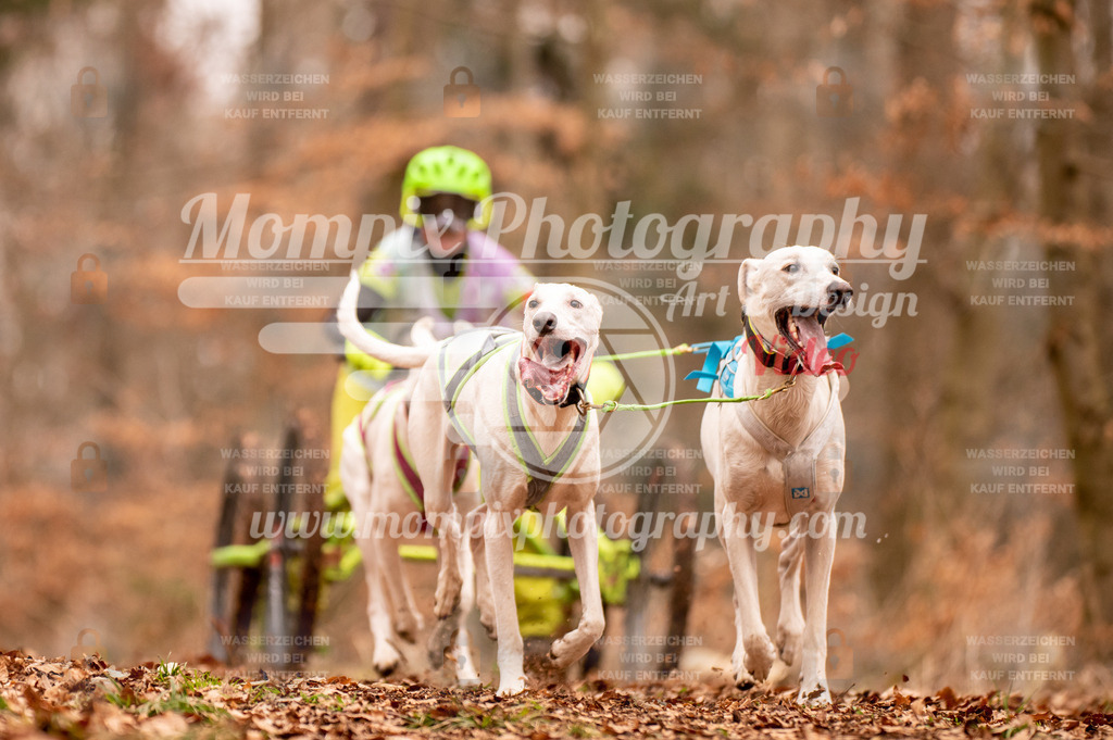 AKM_ST_2023_SAM_DR4-29 | PayLife