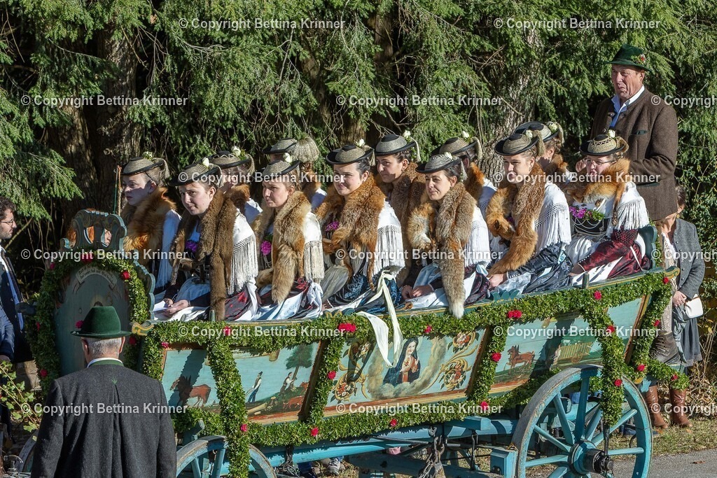 LBT25-194 | foto-bettina-krinner - Realisiert mit Pictrs.com