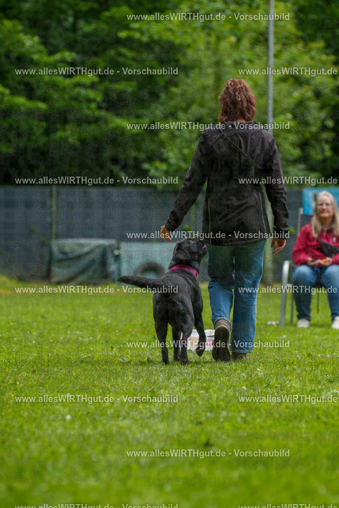 @allesWIRTHgut_Tierfotografie - www.allesWIRTHgut.de - 101550-7R508244 | Professionelle Tierfotografie in Mönchengladbach von Daniel Wirth (allesWIRTHgut). Liebevolle & natürliche Bilder von Hunden & Katzen für unvergessliche Erinnerungen.