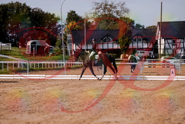 2026_10_03_Siefer-Hof_121401_Z81_15013642 | Professionelle Reitsport-, Turnier- und Eventfotografie von Robert Broda. Galerien mit ausgewählten und bearbeiteten Bildern direkt online ansehen und bestellen.