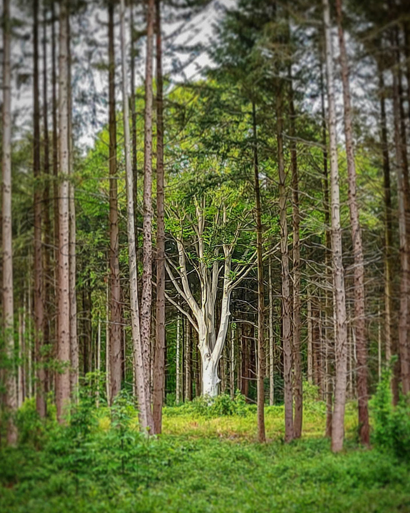 Bilder Homepage-39 | fotografie-derks - Realisiert mit Pictrs.com