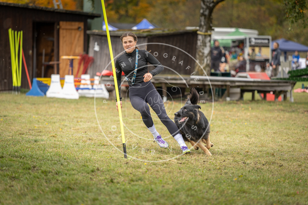 Pfotenfotografie_DV3A7446 | Hundefotografie, Tierfotograf, Pfotenfotografie, Fotoshooting Hund, Hunde Portrait, Hundesport, Hundeportraits, Heideshooting, Hunde, Sportfotograf, Hundefotograf, Turnierhundsport, THS,  - Realisiert mit Pictrs.com