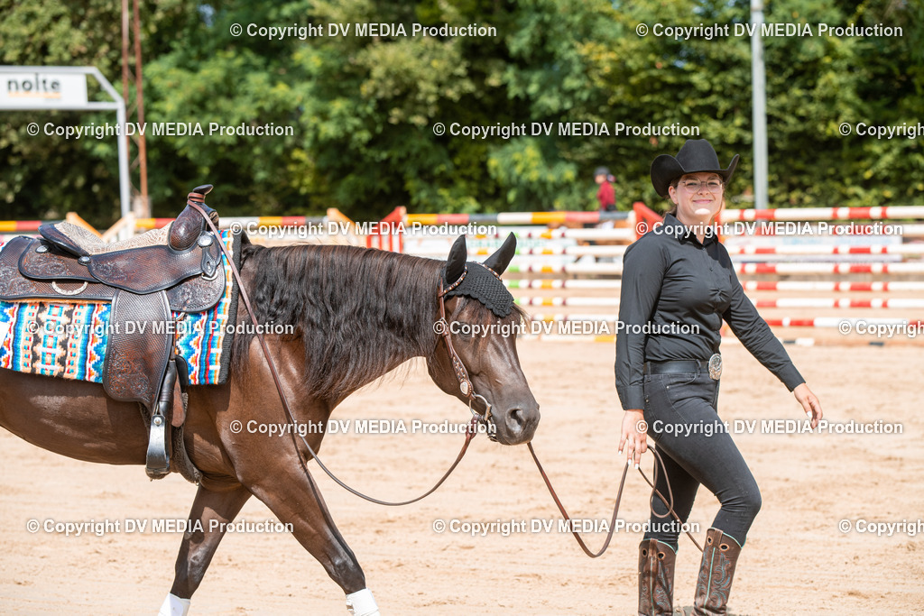 ZS3_9533 | dv-media-shop - Realisiert mit Pictrs.com