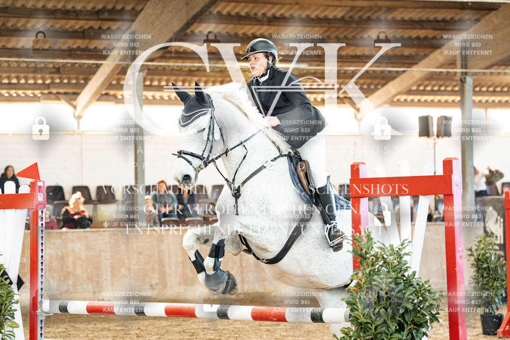 CK904480 | Turnierfotografie Pferdefotografie Trier Rheinland-Pfalz Pferdesport Reitsport Tierfotografie Sportfotografie Pferdevideo Pferdevideografie Equestrianvideography equestrianphotography  - Realisiert mit Pictrs.com