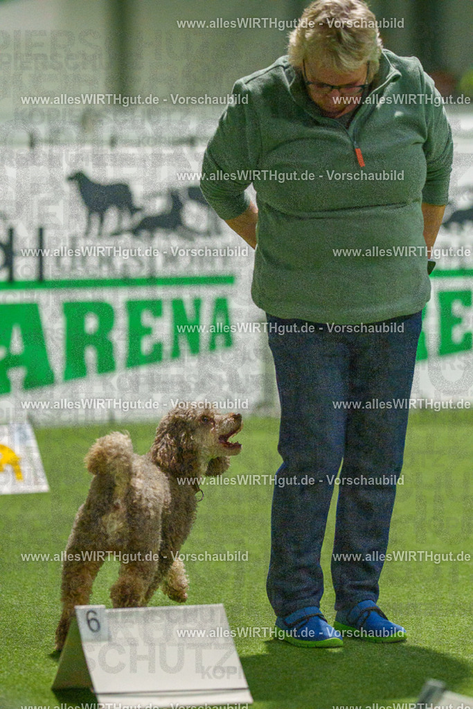 7R509156 | Professionelle Tierfotografie in Mönchengladbach von Daniel Wirth (allesWIRTHgut). Liebevolle & natürliche Bilder von Hunden & Katzen für unvergessliche Erinnerungen.