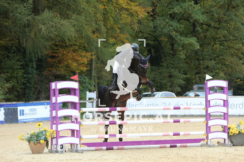 DL2Q7033 | Willkommen bei Brunnmayr - Design & Fotografie – Ihrem Spezialisten für Reitturniere und Pferdeveranstaltungen in Oberösterreich, Salzburg und Bayern! Seit über 17 Jahren sind wir leidenschaftlich dabei.