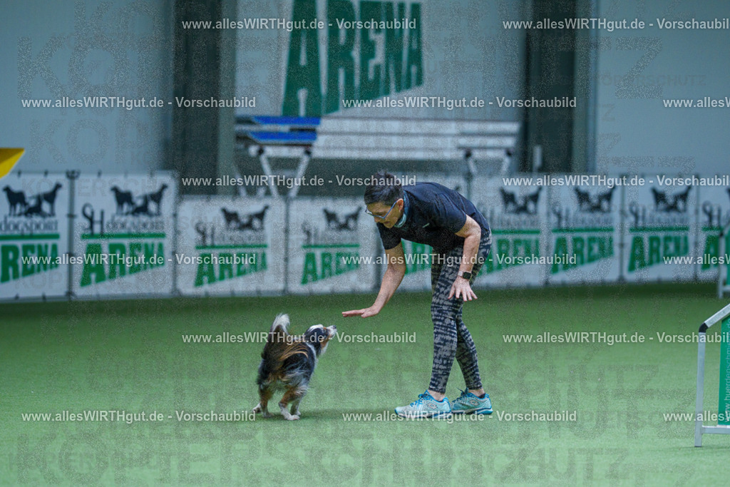 @allesWIRTHgut_Tierfotografie - www.allesWIRTHgut.de - 2604251300-7R503350 | Professionelle Tierfotografie in Mönchengladbach von Daniel Wirth (allesWIRTHgut). Liebevolle & natürliche Bilder von Hunden & Katzen für unvergessliche Erinnerungen.