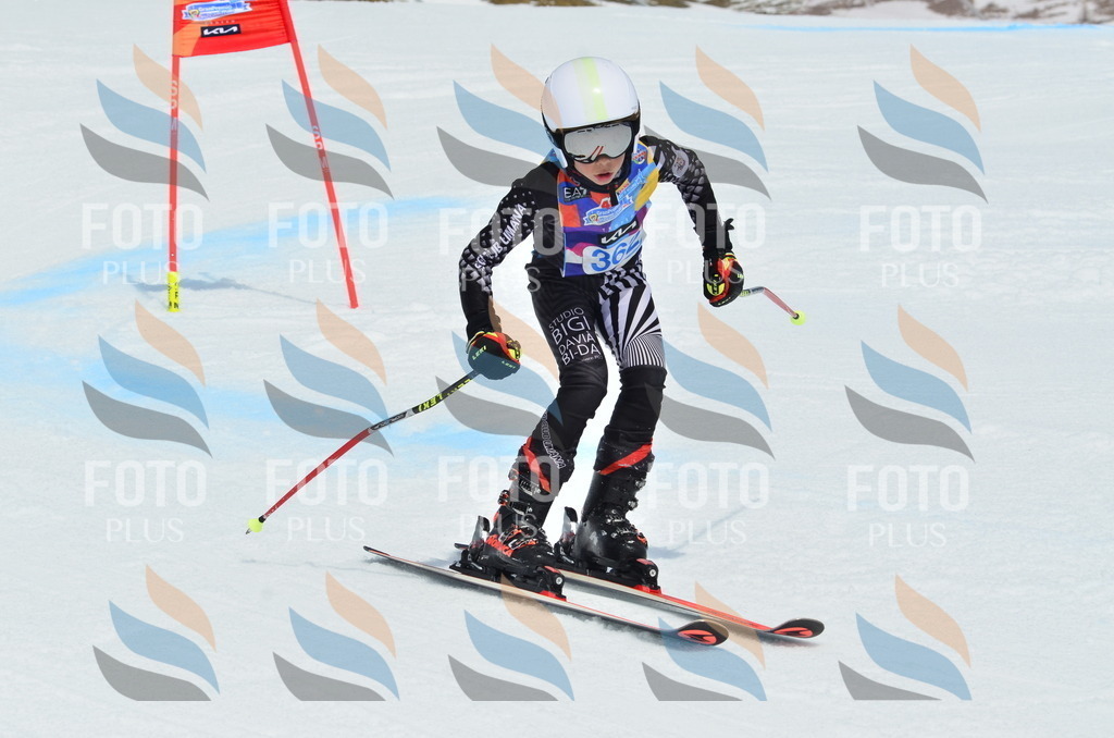 _ELE2892 | holidayphoto