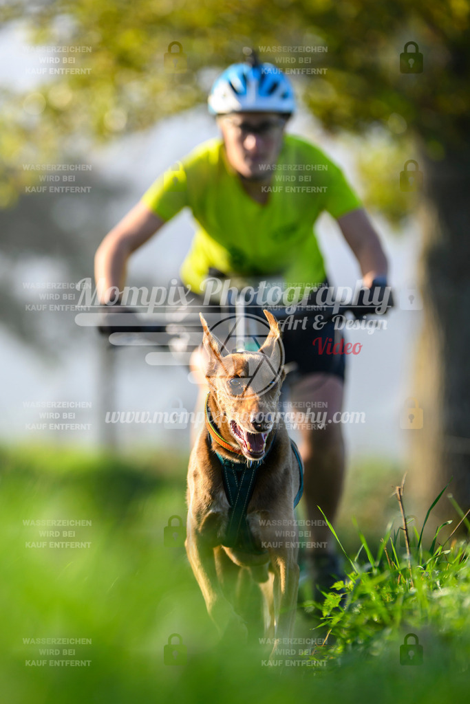 MompixPhotography_20TSB_E3_Bike-200 | PayLife