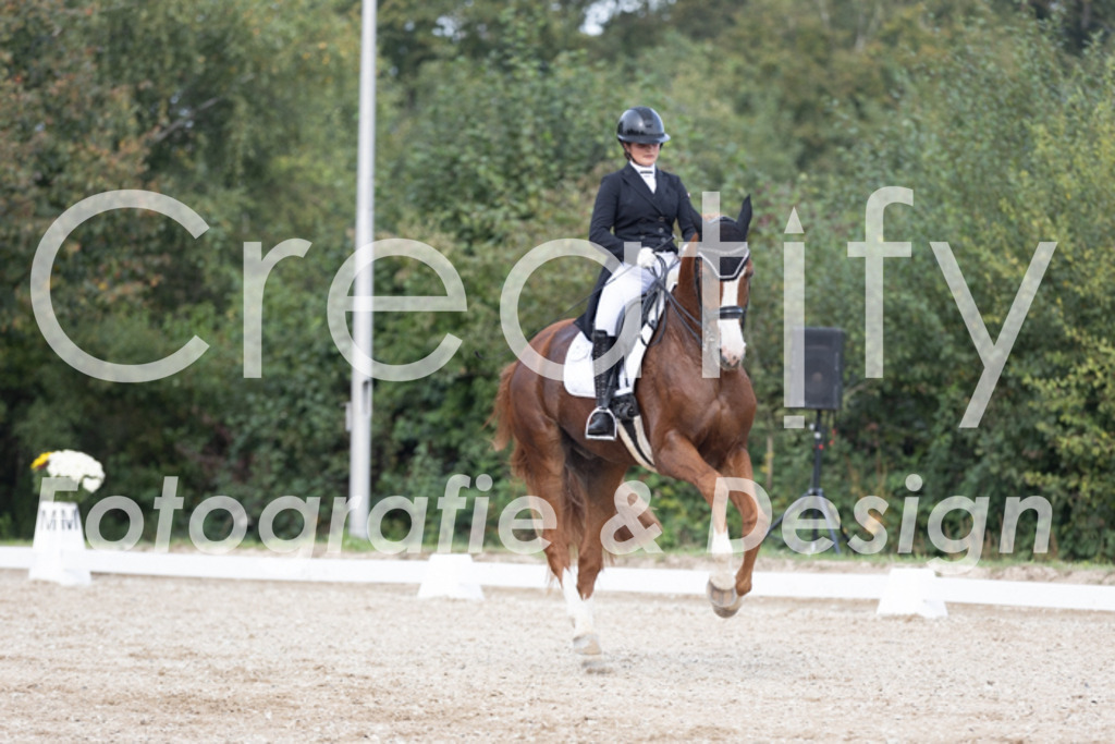 IMG_4749 | Creatify Fotografie