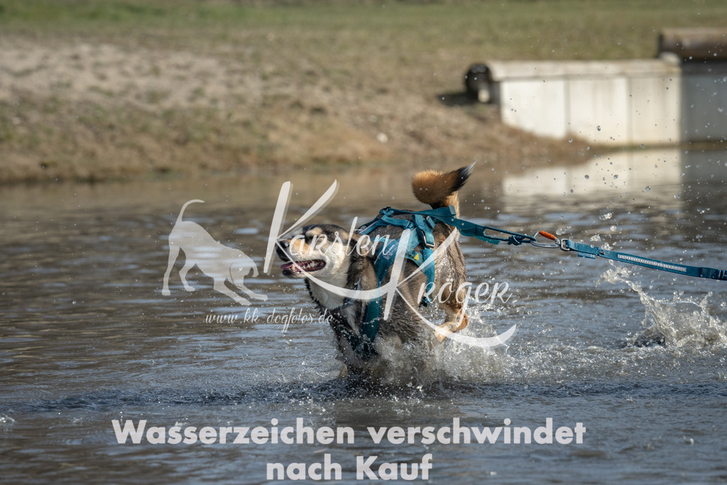 1244_ZZ91779 | kk-dogfotos