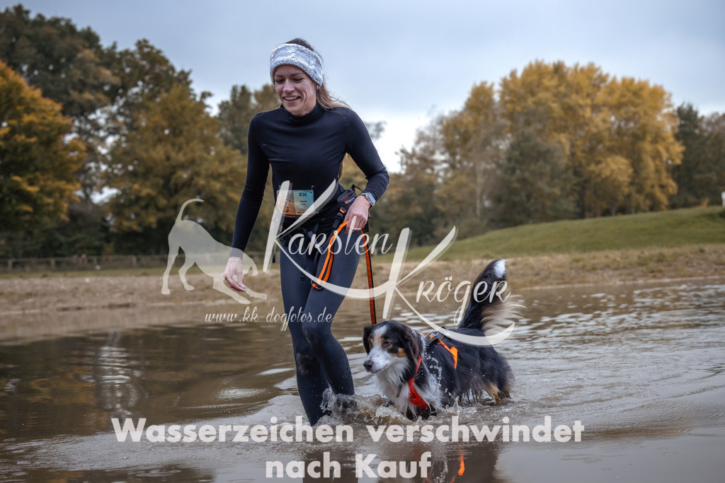 1342_ZZ94646 | kk-dogfotos