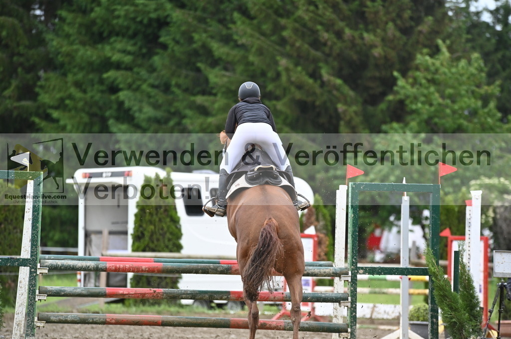 DSC_1541 | equestrian-live-com